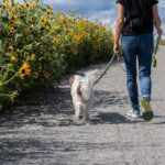 delphine-beausoleil-byFmFcBqPNY-unsplash